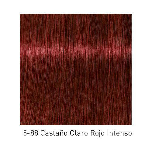 IGORA ROYAL - Coloración Permanente - 60ml SCHWARZKOPF