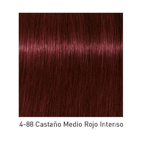 IGORA ROYAL - ROJOS - Coloración Permanente - SELFIE