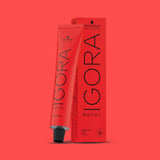 IGORA ROYAL