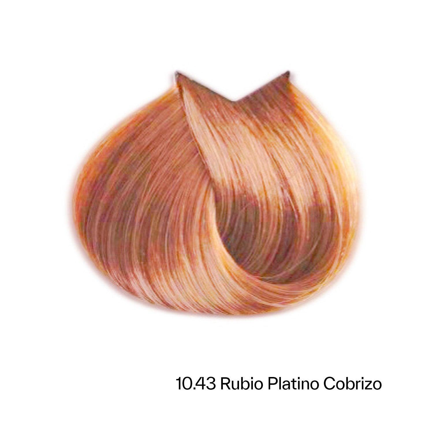 アミン　リファインプロ FILTRO DE COMBUSTIBLE GIRATORIO FF5636 - Cummins