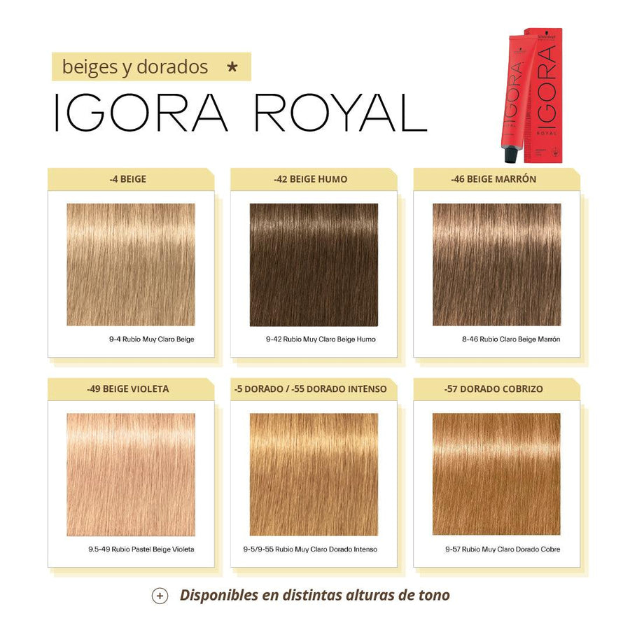 IGORA ROYAL - BEIGES y DORADOS - Coloración Permanente - SELFIE