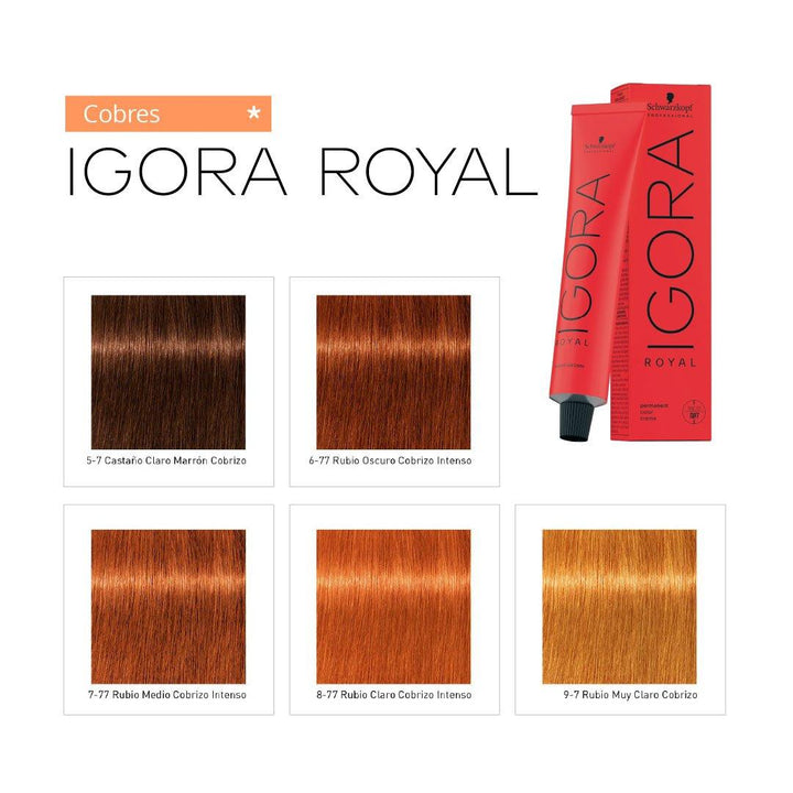 IGORA ROYAL - COBRES - Coloración Permanente - SELFIE