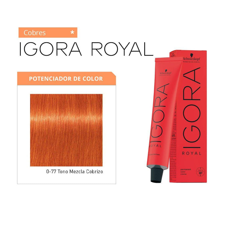 IGORA ROYAL - COBRES - Corrector - SELFIE