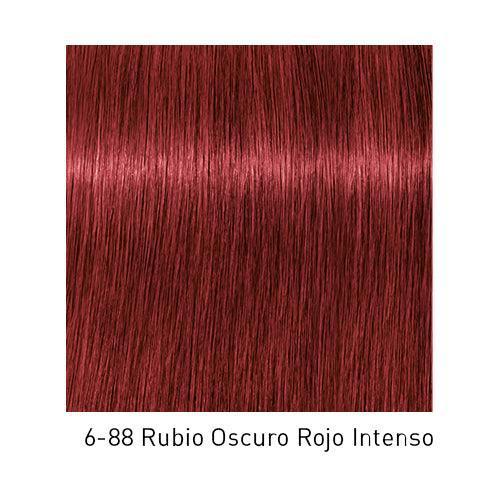 IGORA ROYAL - Coloración Permanente - 60ml SCHWARZKOPF