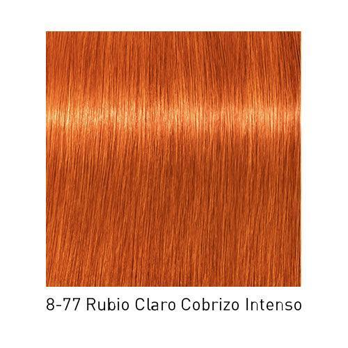 IGORA ROYAL - Coloración Permanente - 60ml SCHWARZKOPF