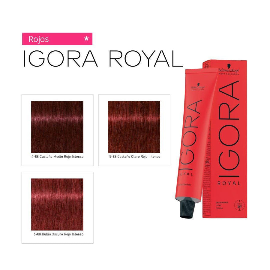 IGORA ROYAL - ROJOS - Coloración Permanente - SELFIE